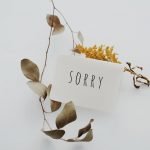英語で心から謝る方法について調べて実践してみた結果。