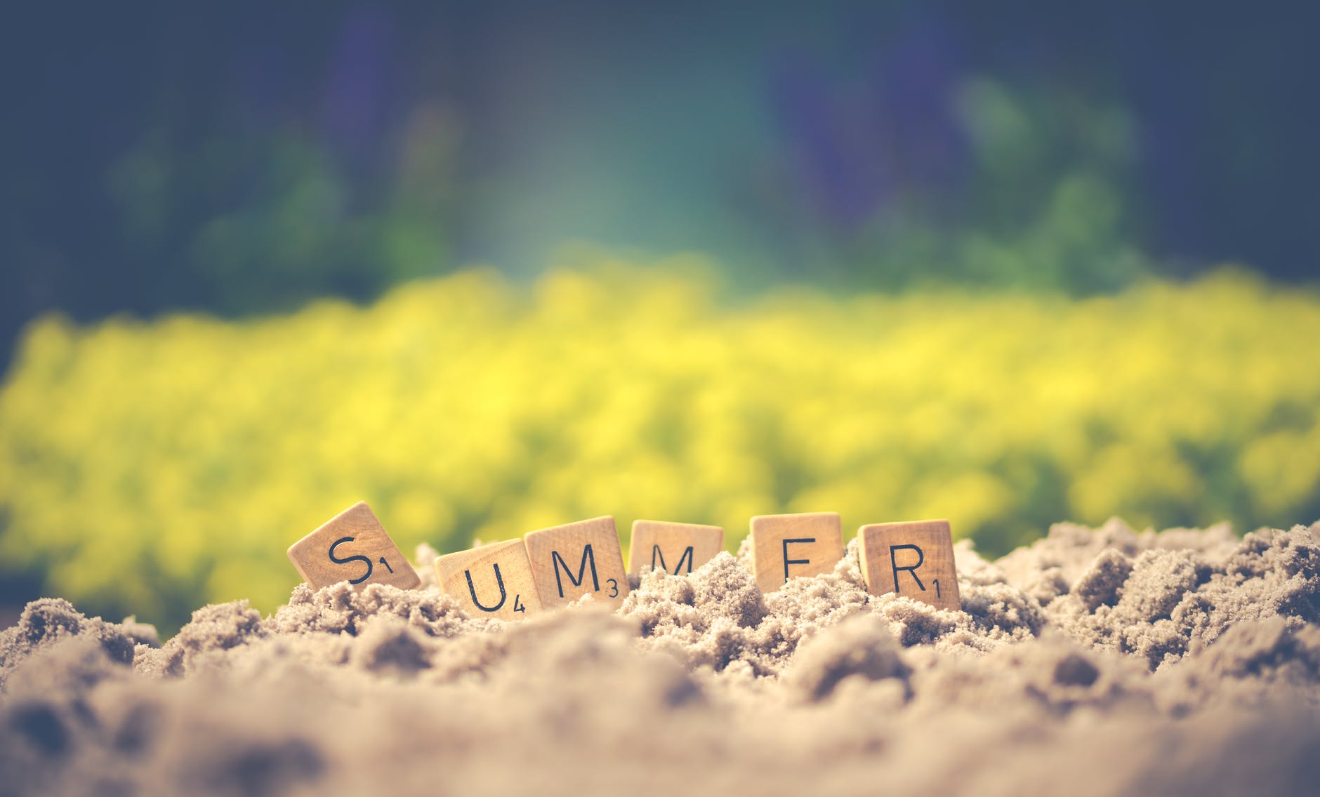 summer letter cube on soil