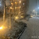 東京に雪が降った。