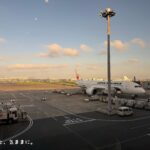 夏休み2025が始まってた。