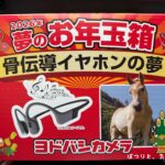 新年ヨドバシ骨伝導イヤホンの夢