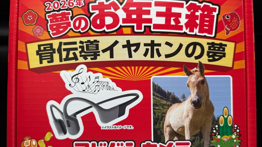 新年ヨドバシ骨伝導イヤホンの夢